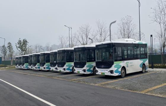 “換新裝”10輛新能源電動公交車投入運營(圖文)